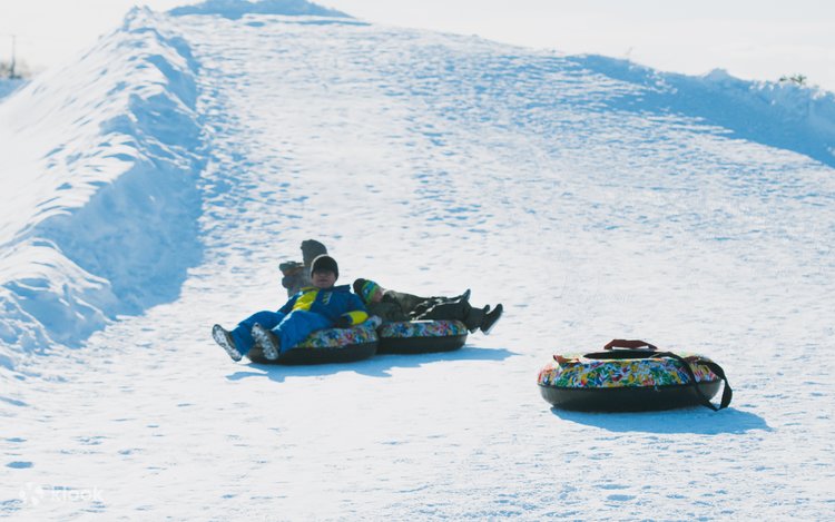 [GASCA Participant Exclusive Offer] Sponsored by the Meibei City Government: Participate in the "Snow Diplomacy Gala" with the Mayor of Meibei + Snowland Day Trip (Free Admission + Round-Trip Transportation)