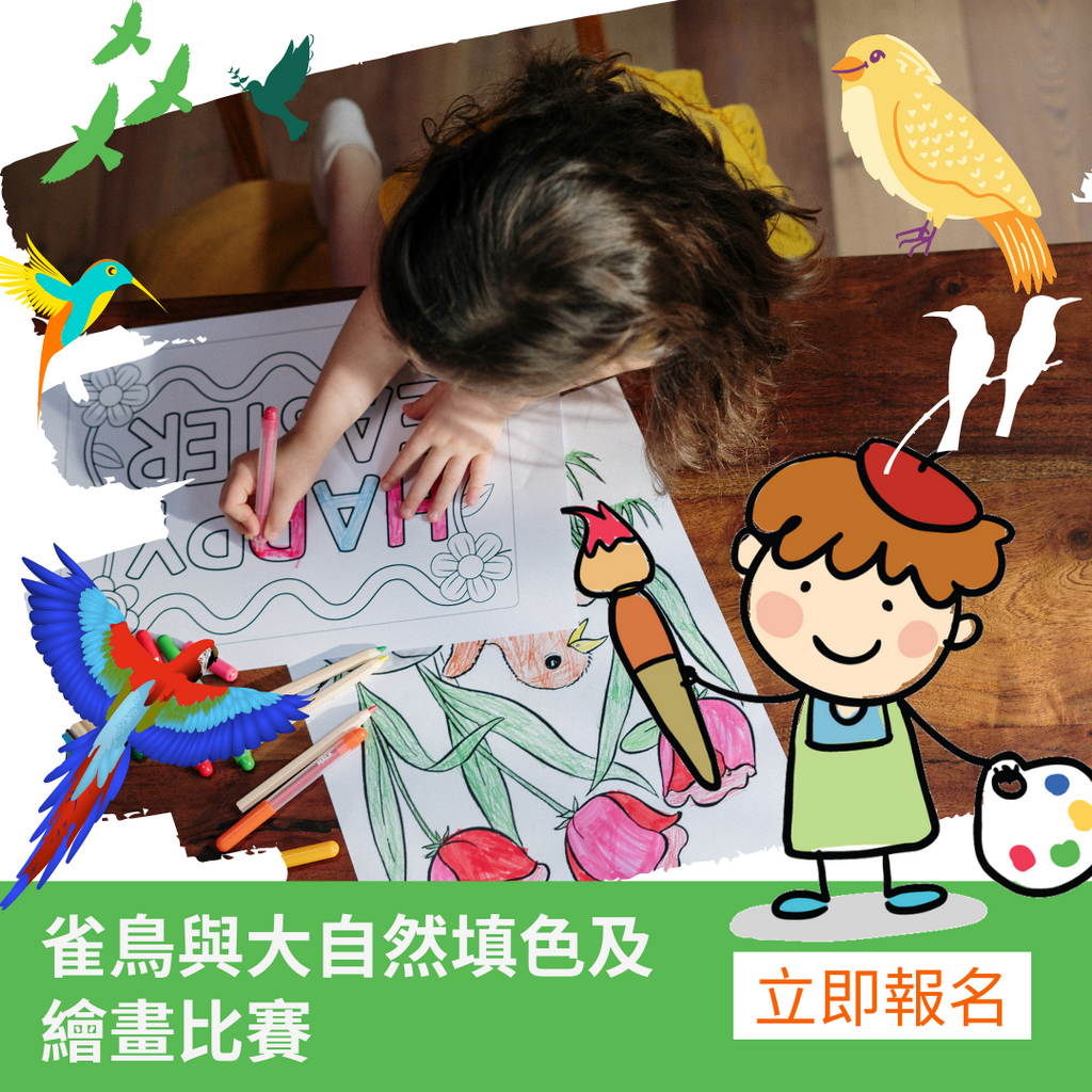 雀鳥與大自然填色及繪畫比賽